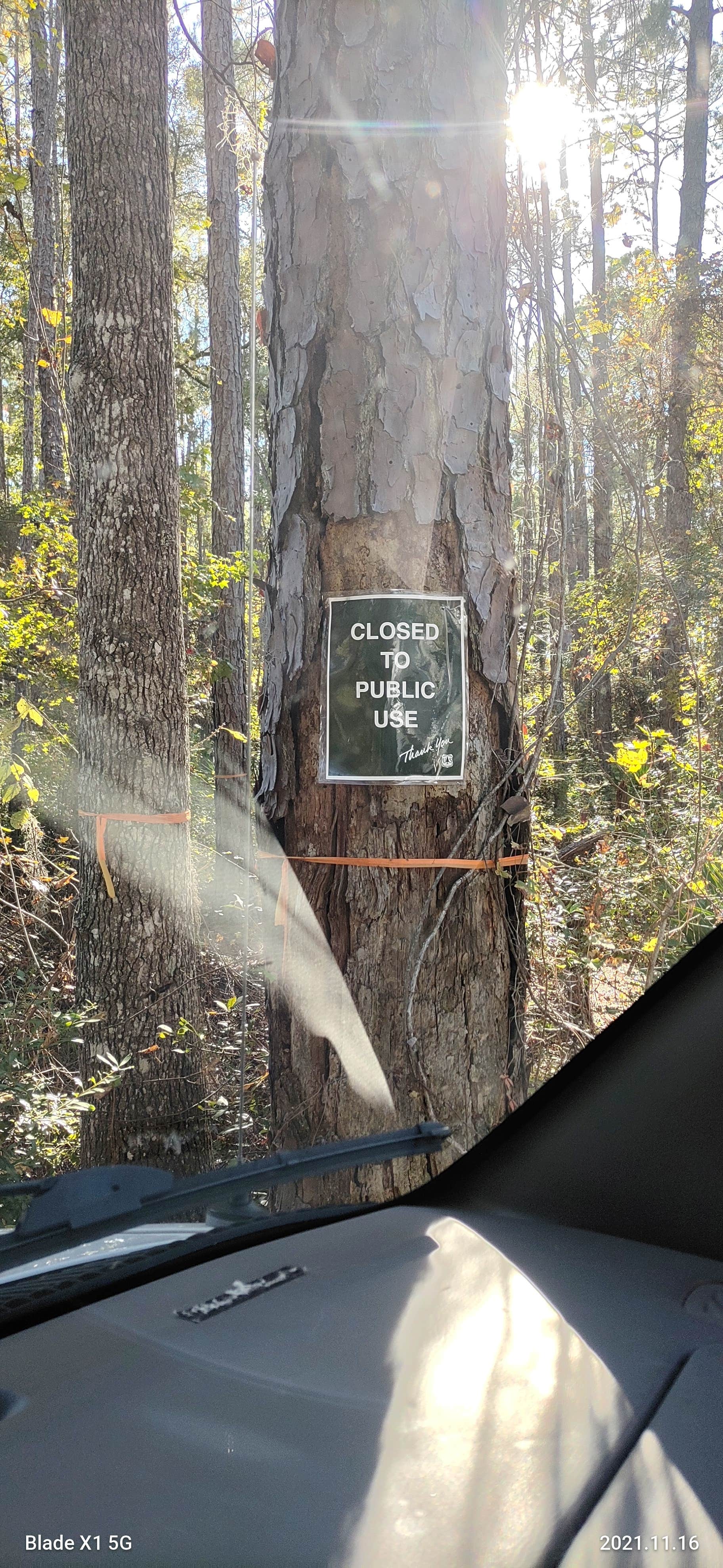 Camping near Lake City Campground: Wiggins Hunt Camp, Olustee, Florida