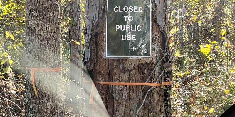 Camper submitted image from Wiggins Hunt Camp