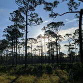 Review photo of Pine Grove Campground — Jonathan Dickinson State Park by Yair J., November 16, 2021