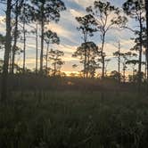 Review photo of Pine Grove Campground — Jonathan Dickinson State Park by Yair J., November 16, 2021