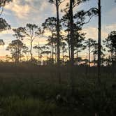 Review photo of Pine Grove Campground — Jonathan Dickinson State Park by Yair J., November 16, 2021