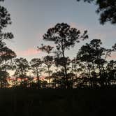 Review photo of Pine Grove Campground — Jonathan Dickinson State Park by Yair J., November 16, 2021