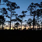 Review photo of Pine Grove Campground — Jonathan Dickinson State Park by Yair J., November 16, 2021