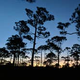 Review photo of Pine Grove Campground — Jonathan Dickinson State Park by Yair J., November 16, 2021