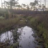 Review photo of Pine Grove Campground — Jonathan Dickinson State Park by Yair J., November 16, 2021