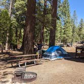 Review photo of Sheep Creek Campground — Kings Canyon National Park by Jamie D., November 16, 2021