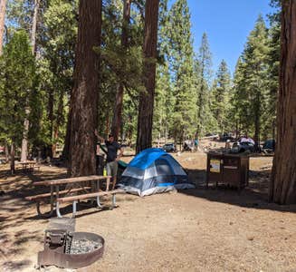 Camper-submitted photo from Sheep Creek Campground — Kings Canyon National Park