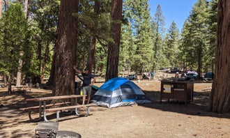 Camping near Sentinel Campground — Kings Canyon National Park: Sheep Creek Campground — Kings Canyon National Park, Hume, California