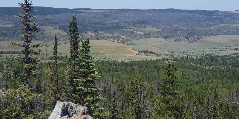 Camper submitted image from Lodgepole Campground