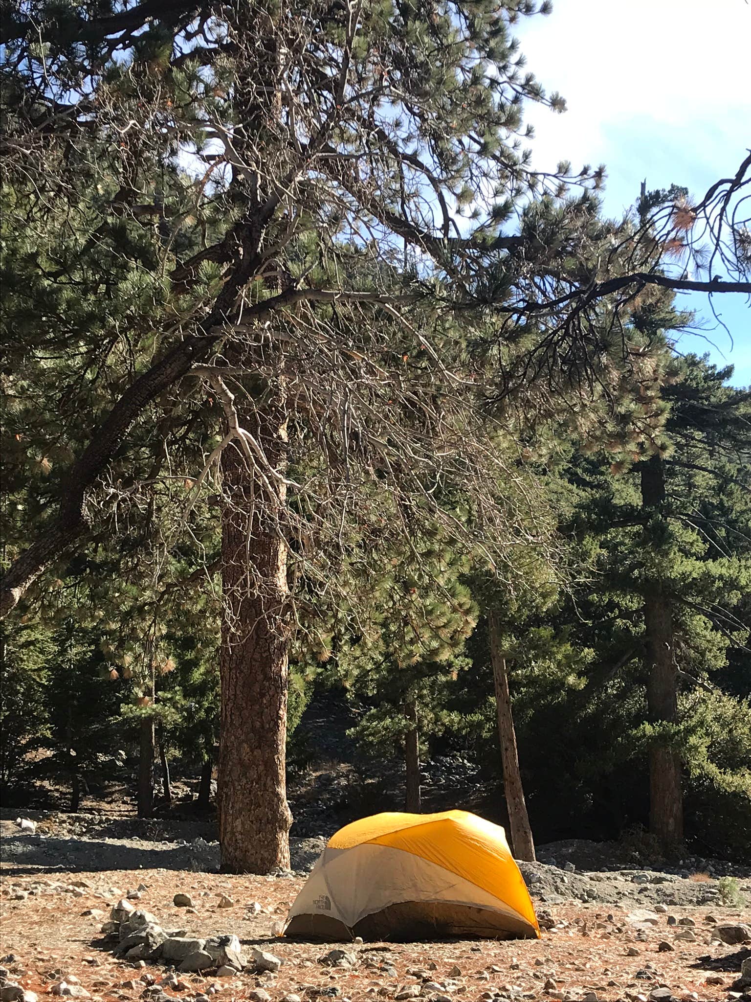 Camper submitted image from Manker Campground - 3