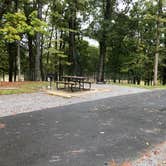 Review photo of Moro Bay State Park Campground by Napunani , November 16, 2021