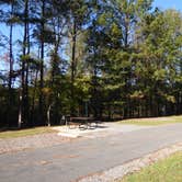 Review photo of Moro Bay State Park Campground by Napunani , November 16, 2021