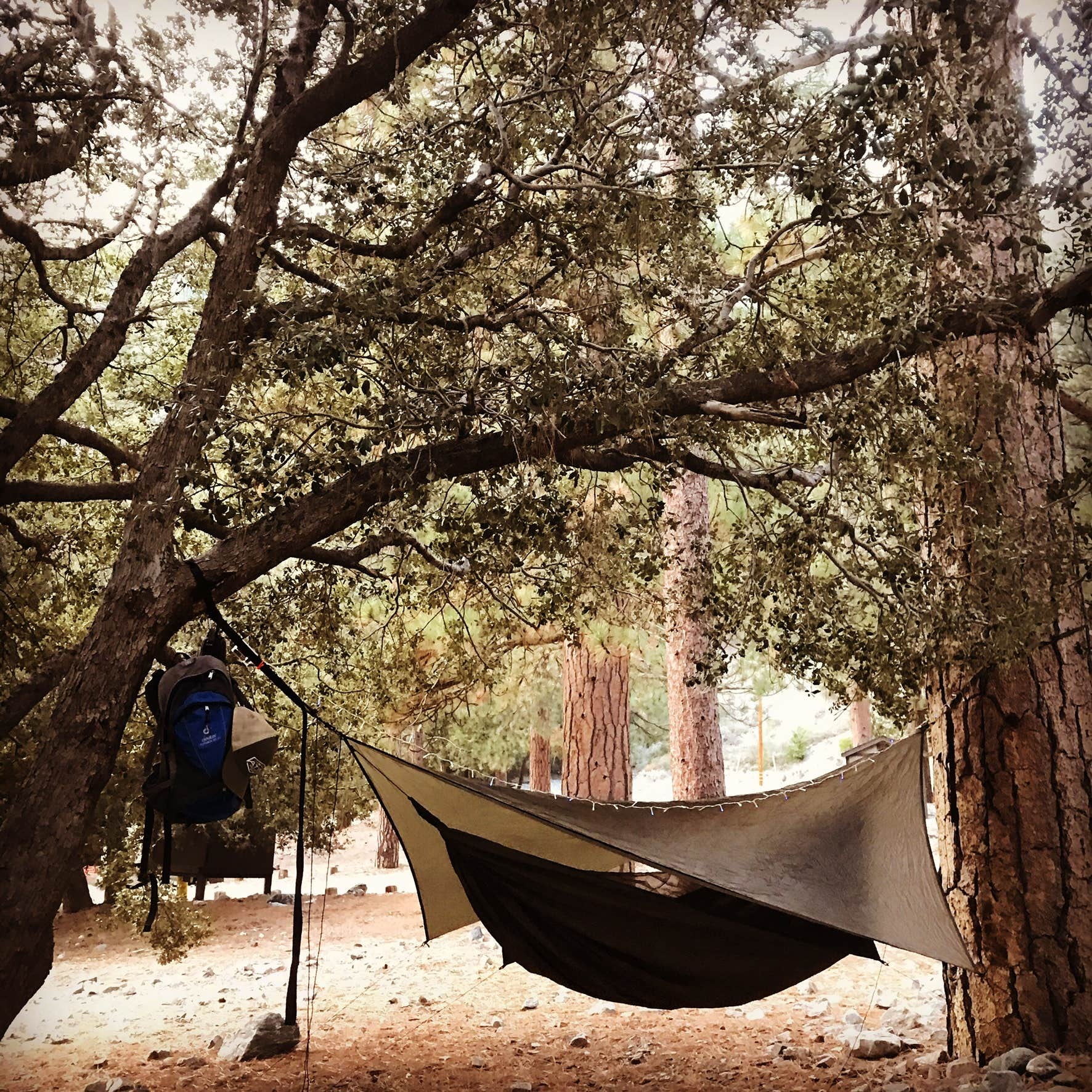Camper submitted image from Manker Campground - 4