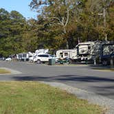 Review photo of Moro Bay State Park Campground by Napunani , November 16, 2021