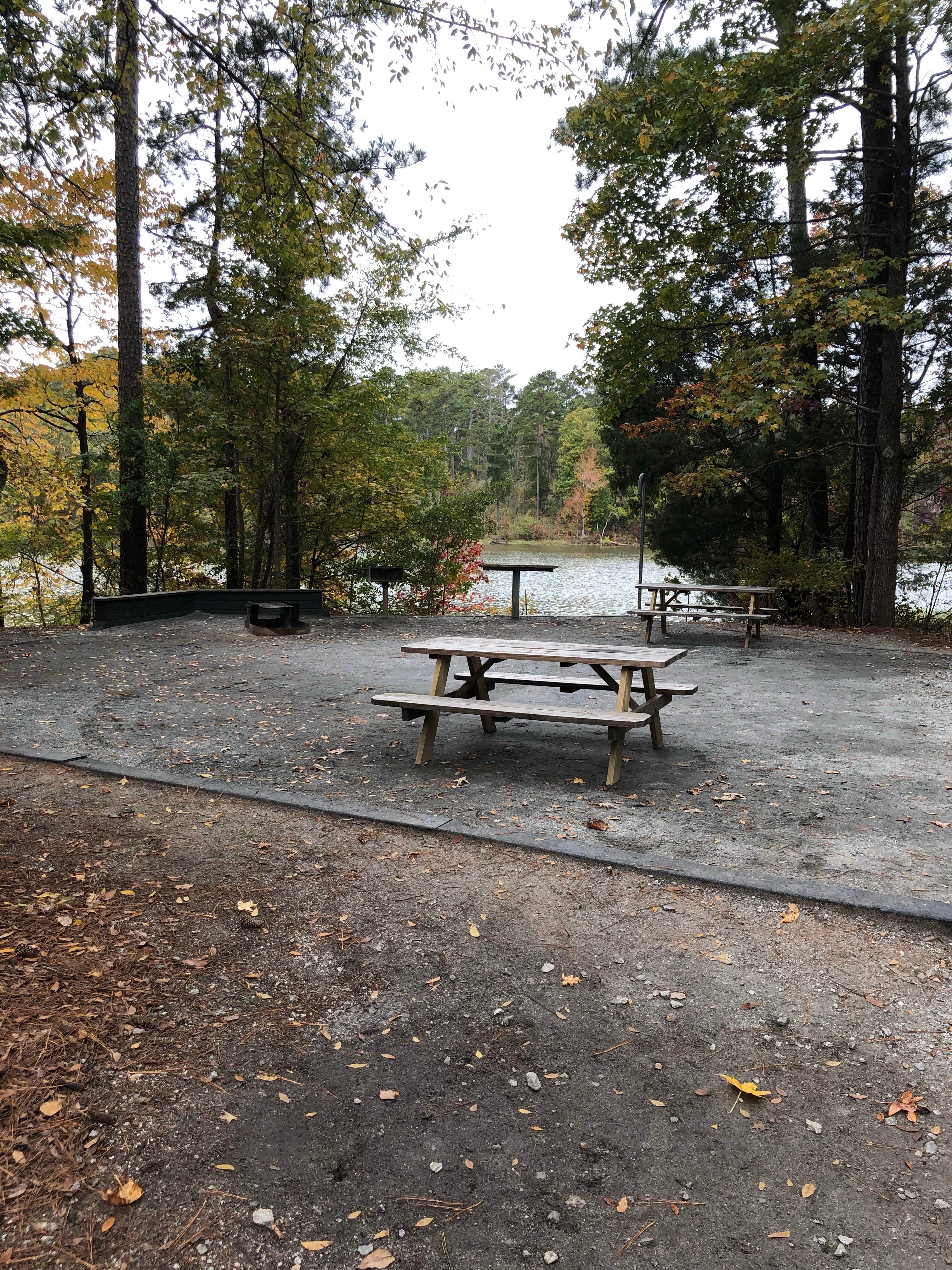 Camper submitted image from Hester's Bottoms Family Campground - 3