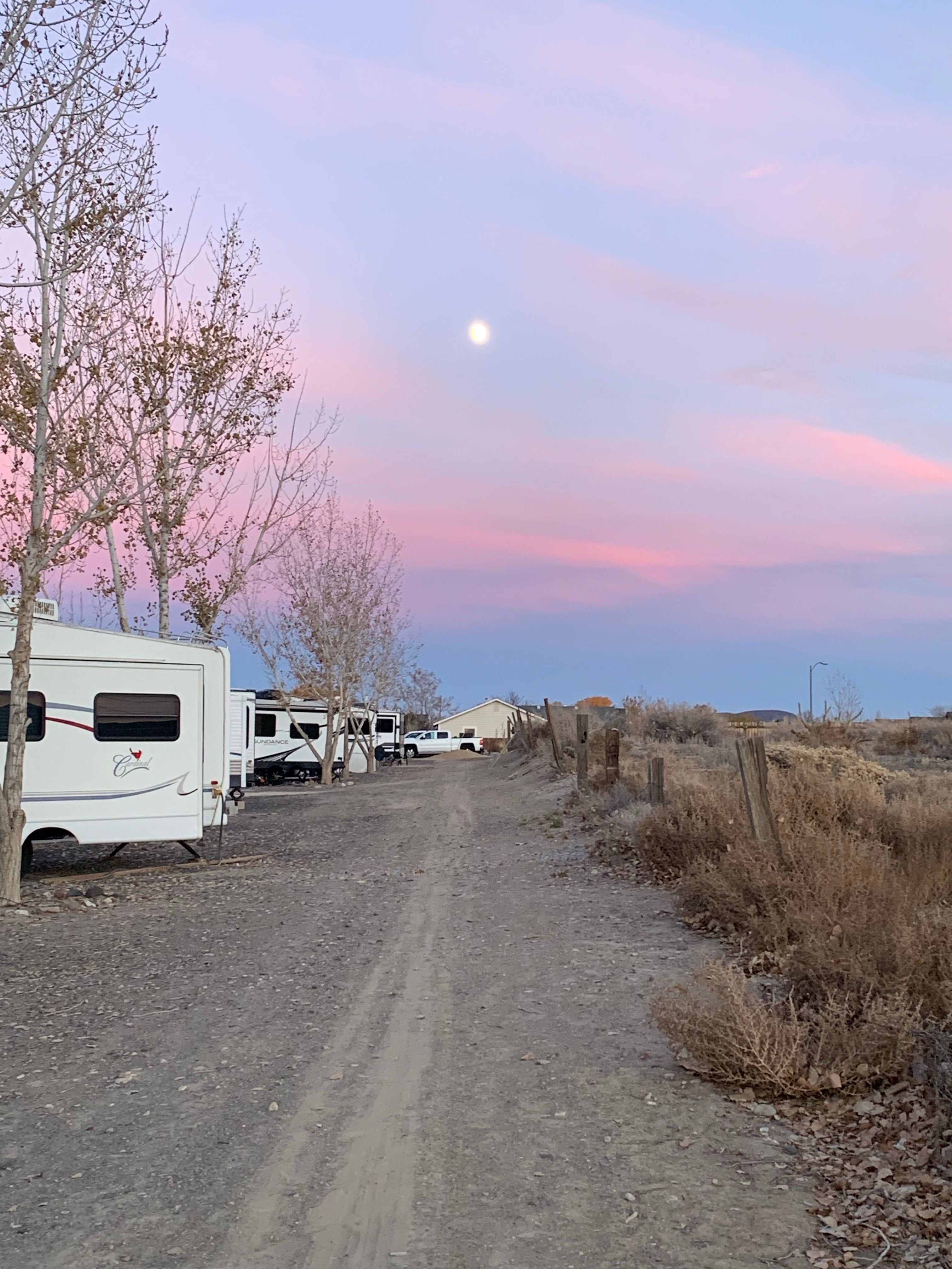 Camper submitted image from Desert Rose RV Park - 1