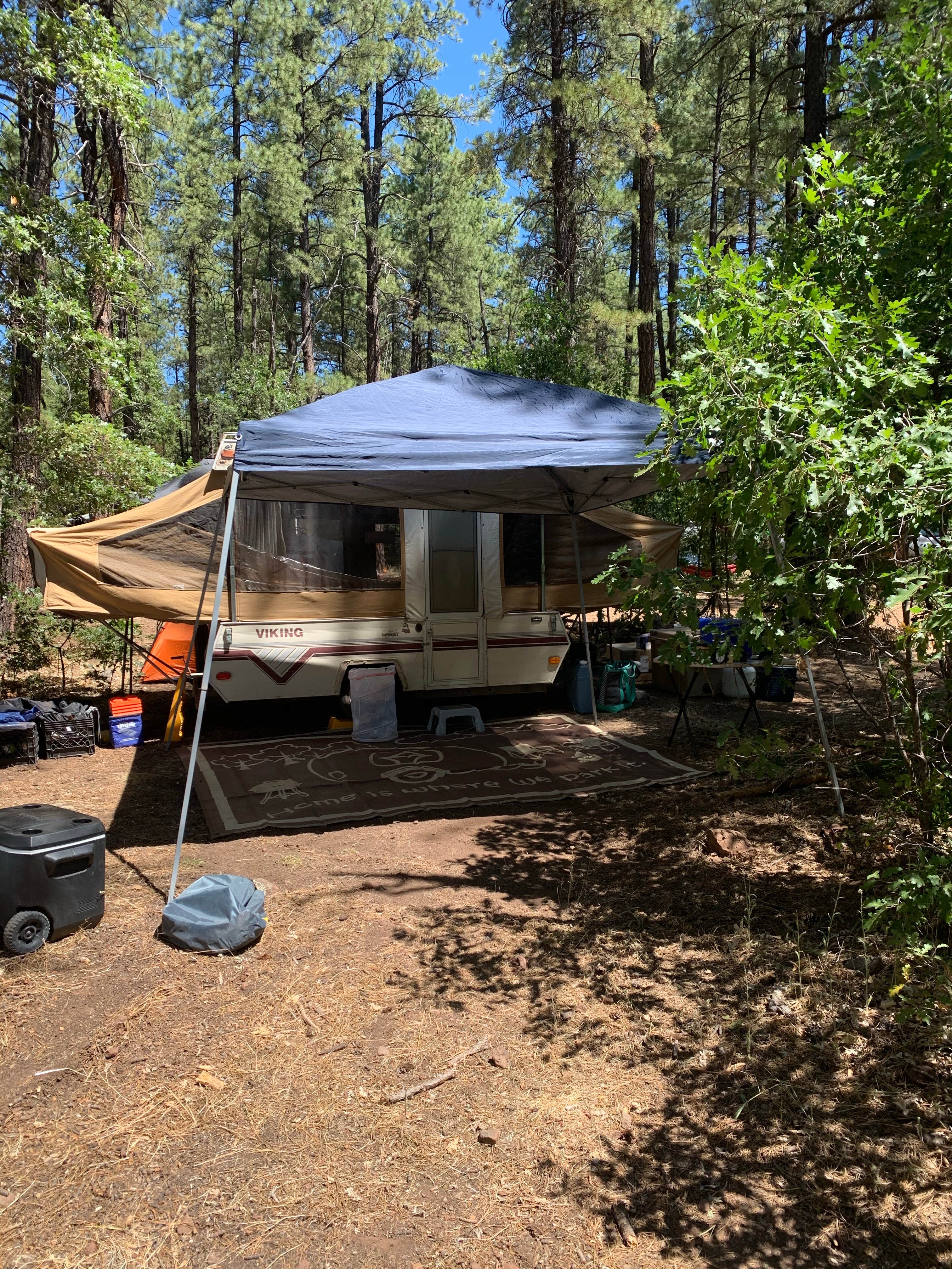 John B.'s photo of a dispersed camping area at Jo Bangles Dispersed Campsite Kaibab NF near Williams, AZ