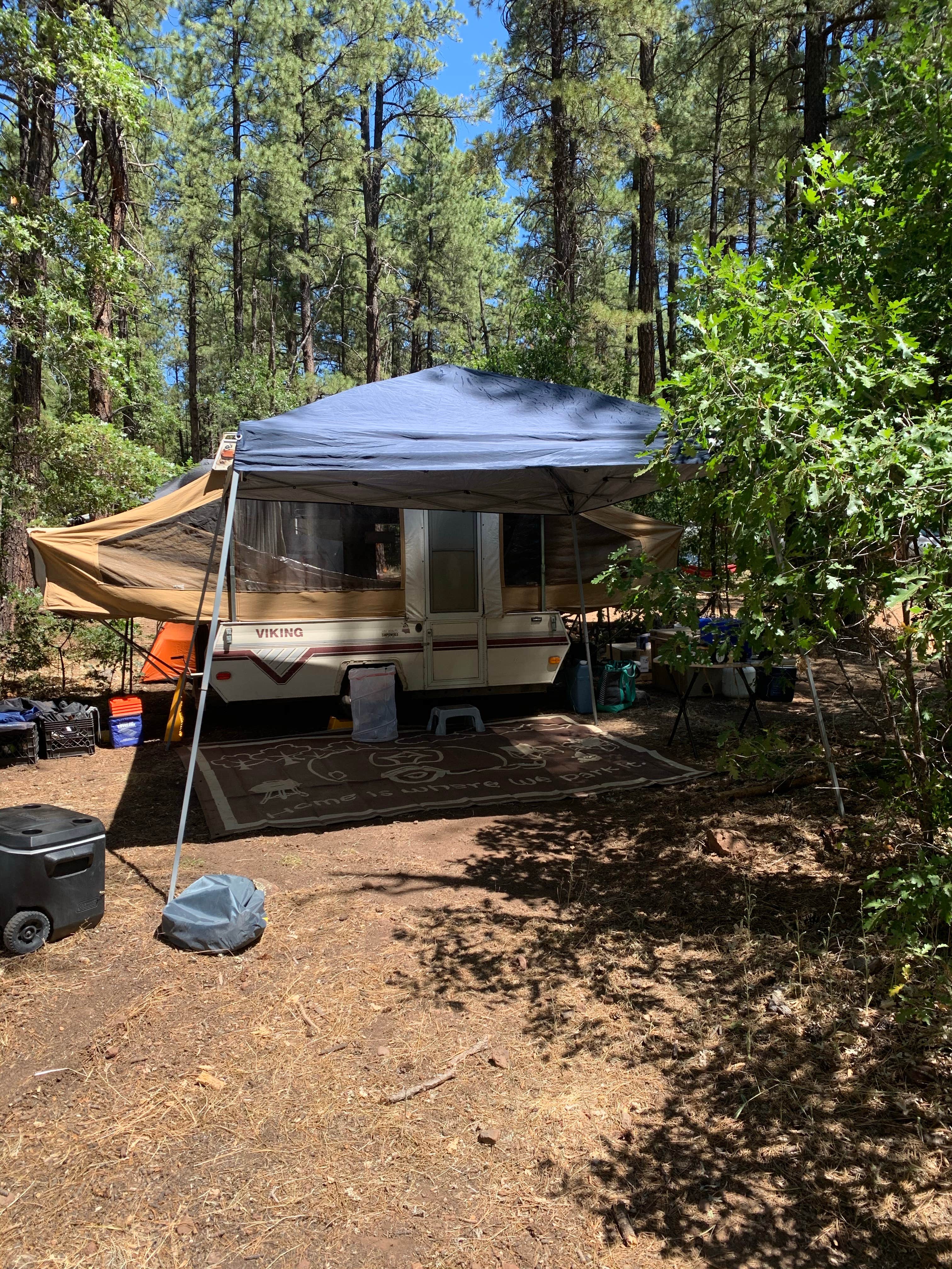 Camper submitted image from Jo Bangles Dispersed Campsite Kaibab NF - 2