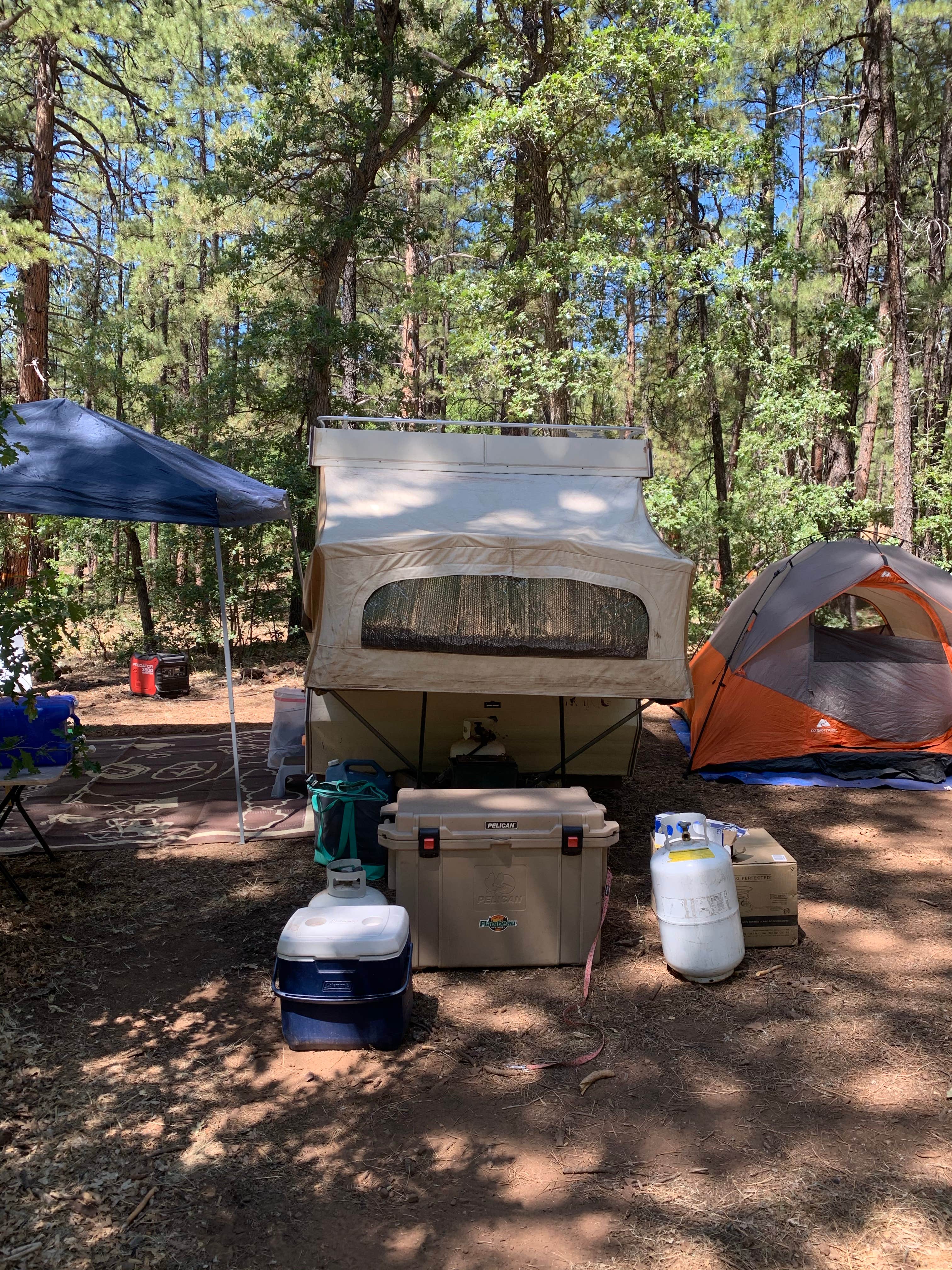 Camper submitted image from Jo Bangles Dispersed Campsite Kaibab NF - 1