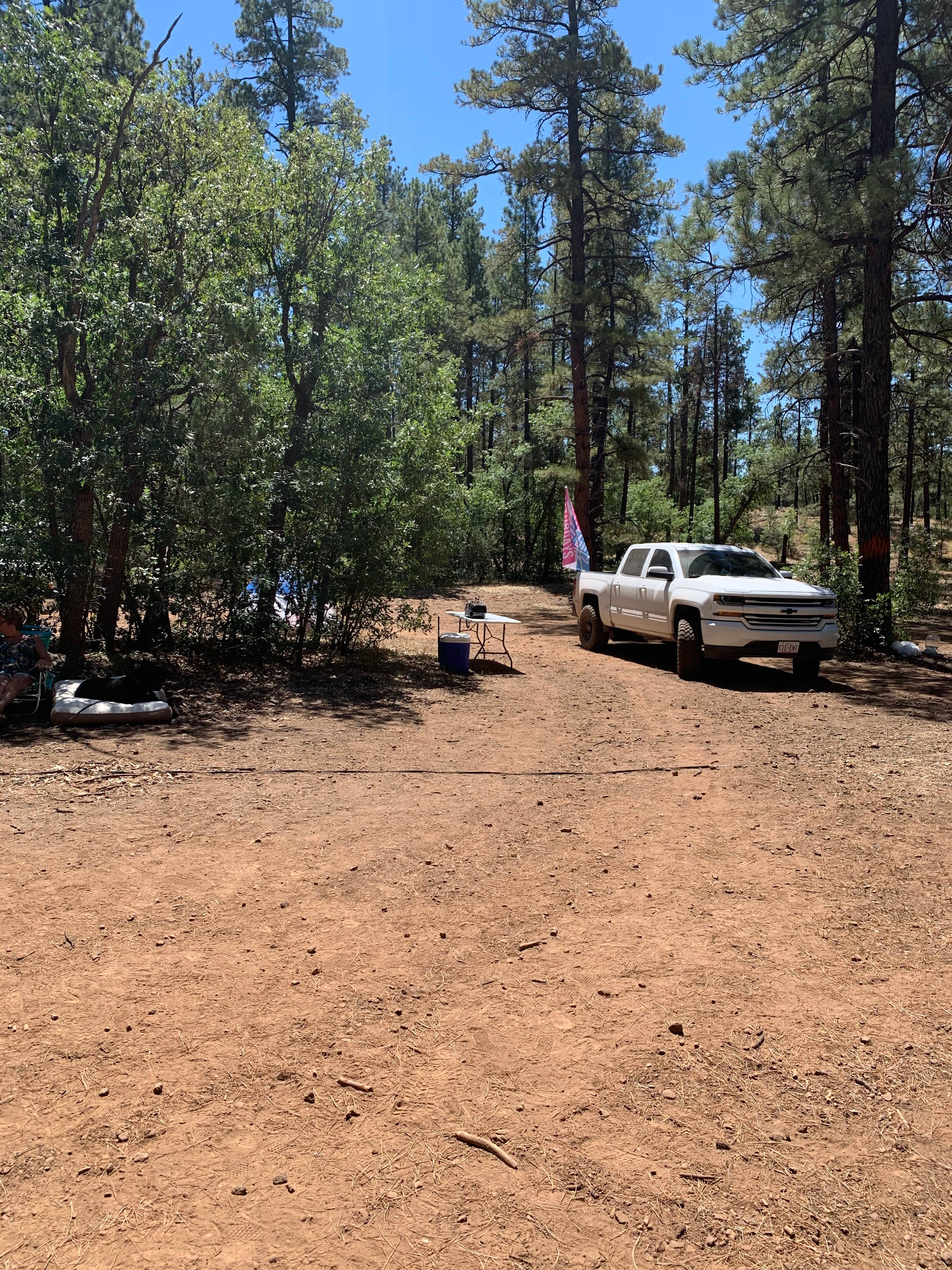 Camper submitted image from Jo Bangles Dispersed Campsite Kaibab NF - 3