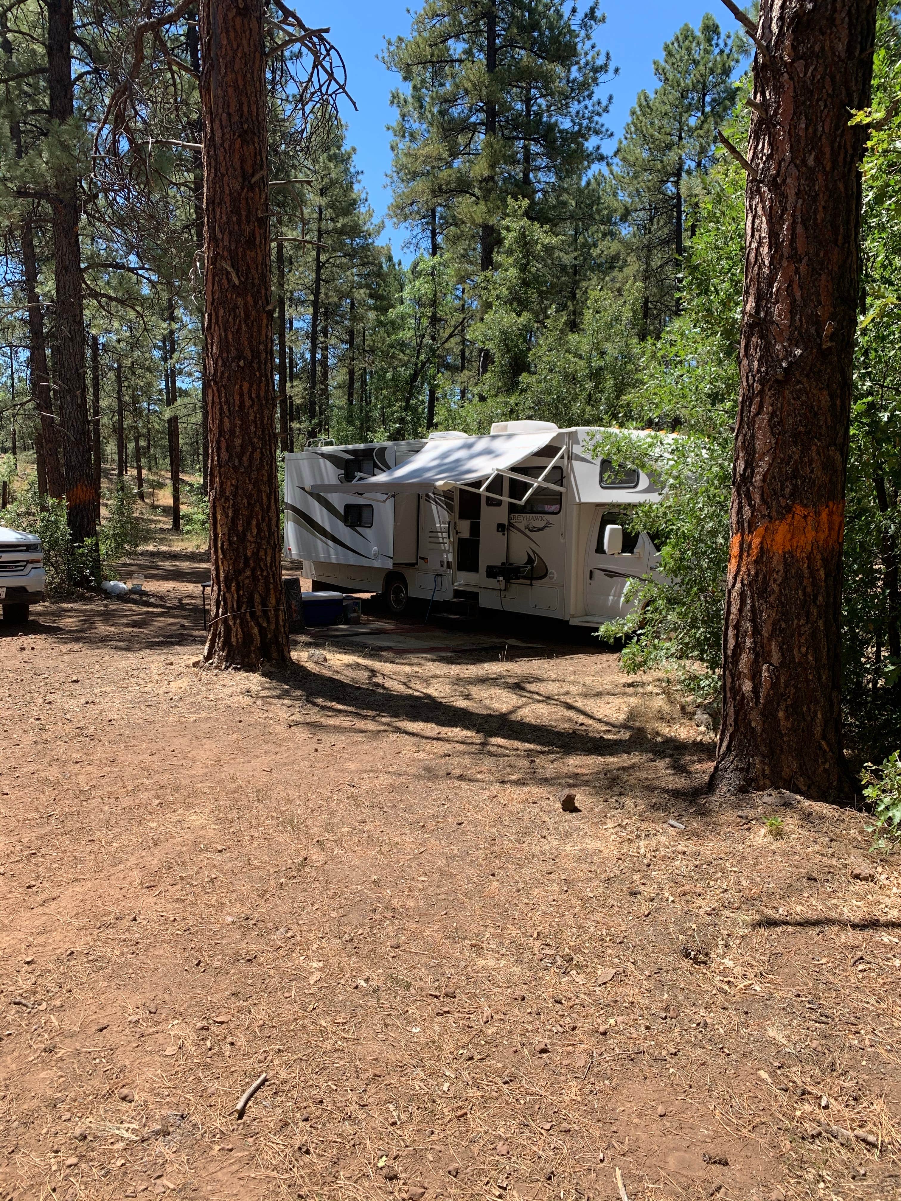 Camper submitted image from Jo Bangles Dispersed Campsite Kaibab NF - 5
