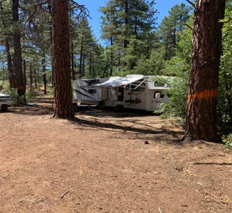 Camper-submitted photo from Jo Bangles Dispersed Campsite Kaibab NF