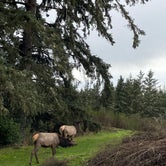 Review photo of Fort Stevens State Park Campground by Lottie Y., November 17, 2021