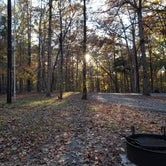 Review photo of Mammoth Cave Campground — Mammoth Cave National Park by Doc S., November 17, 2021