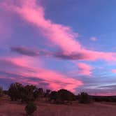 Review photo of Sante Fe National Forest BLM-Road 62 Dispersed by Nancy B., November 17, 2021