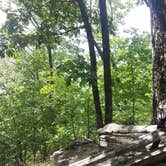Review photo of Mckinney Campground by DrDavid P., July 23, 2016