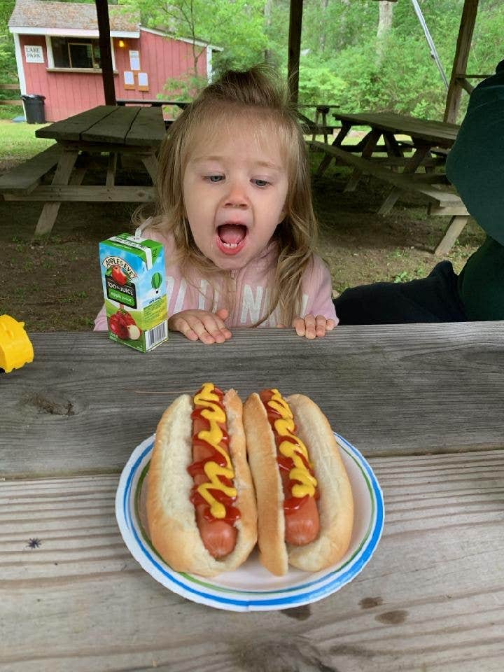Brian S.'s photo of camping with pets at Pinewood Lodge Campground near Walpole, MA