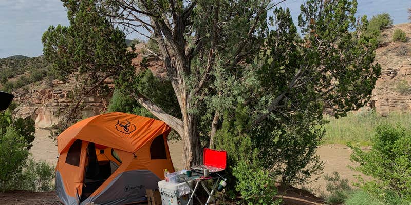 Camper submitted image from Whirlpool Dispersed Camping Area