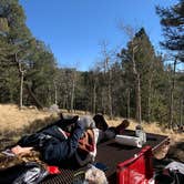 Review photo of Tarryall Creek- Dispersed Camping by Kim M., November 7, 2021