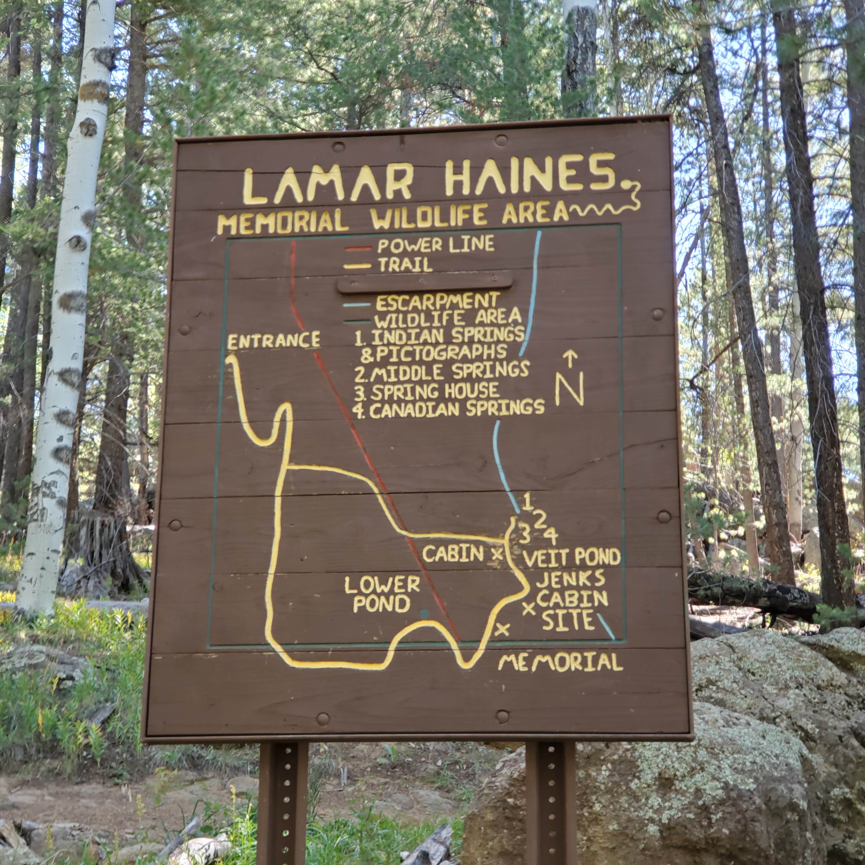 Camper submitted image from Hart Prairie - Dispersed Camping - 2