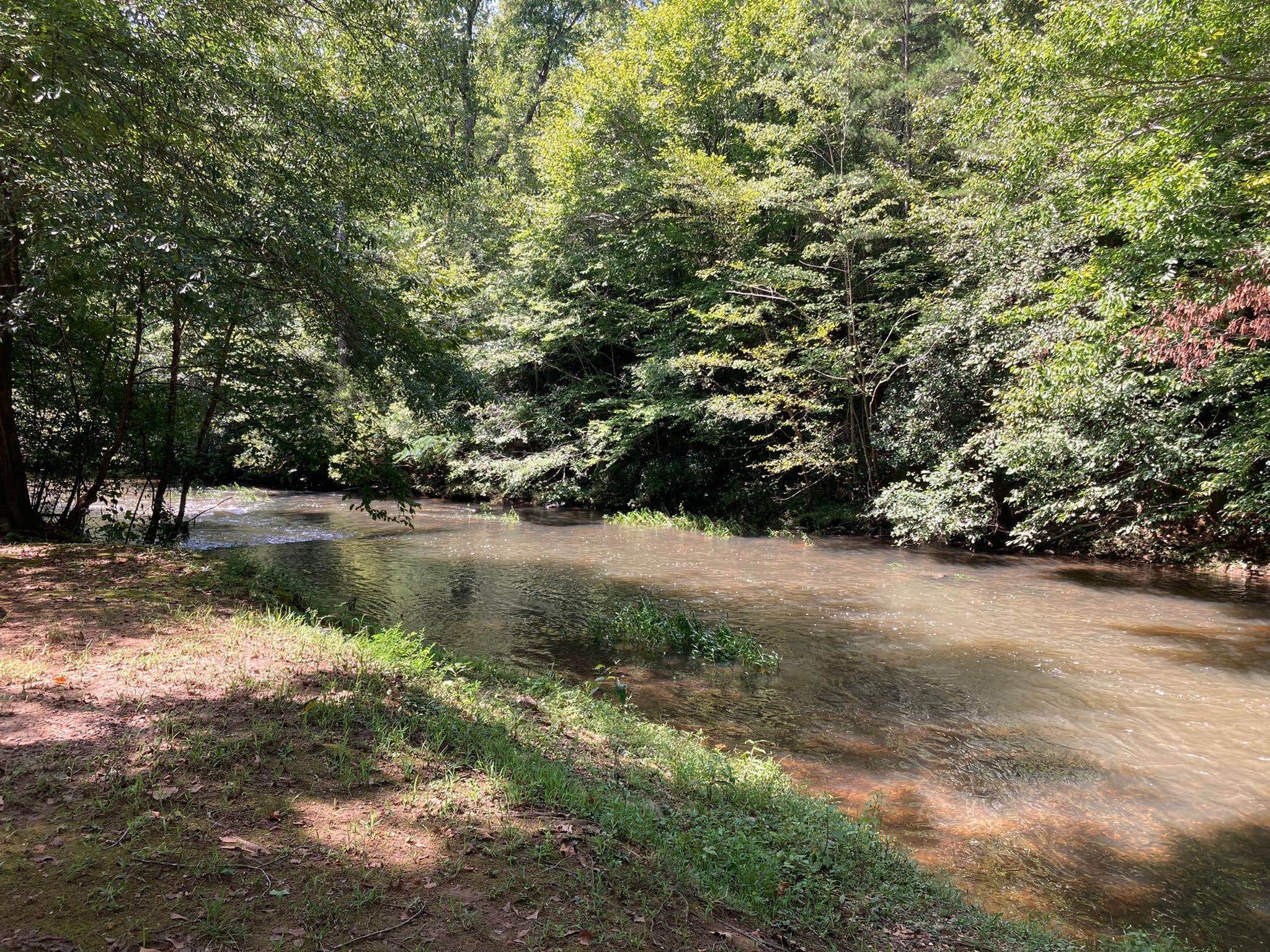 Camper submitted image from Chief Ladiga Trail Campground - 5