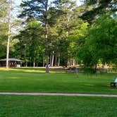 Review photo of John Tanner Park Campground by Dolores C., November 17, 2021