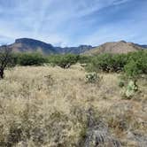 Review photo of Kartchner Caverns State Park Campground by Bob L., November 17, 2021