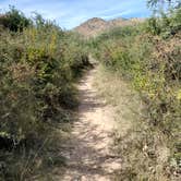 Review photo of Kartchner Caverns State Park Campground by Bob L., November 17, 2021