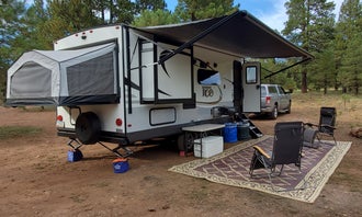 Hart Prairie - Dispersed Camping 