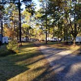 Review photo of New Green Acres RV Park by Mimi , November 17, 2021