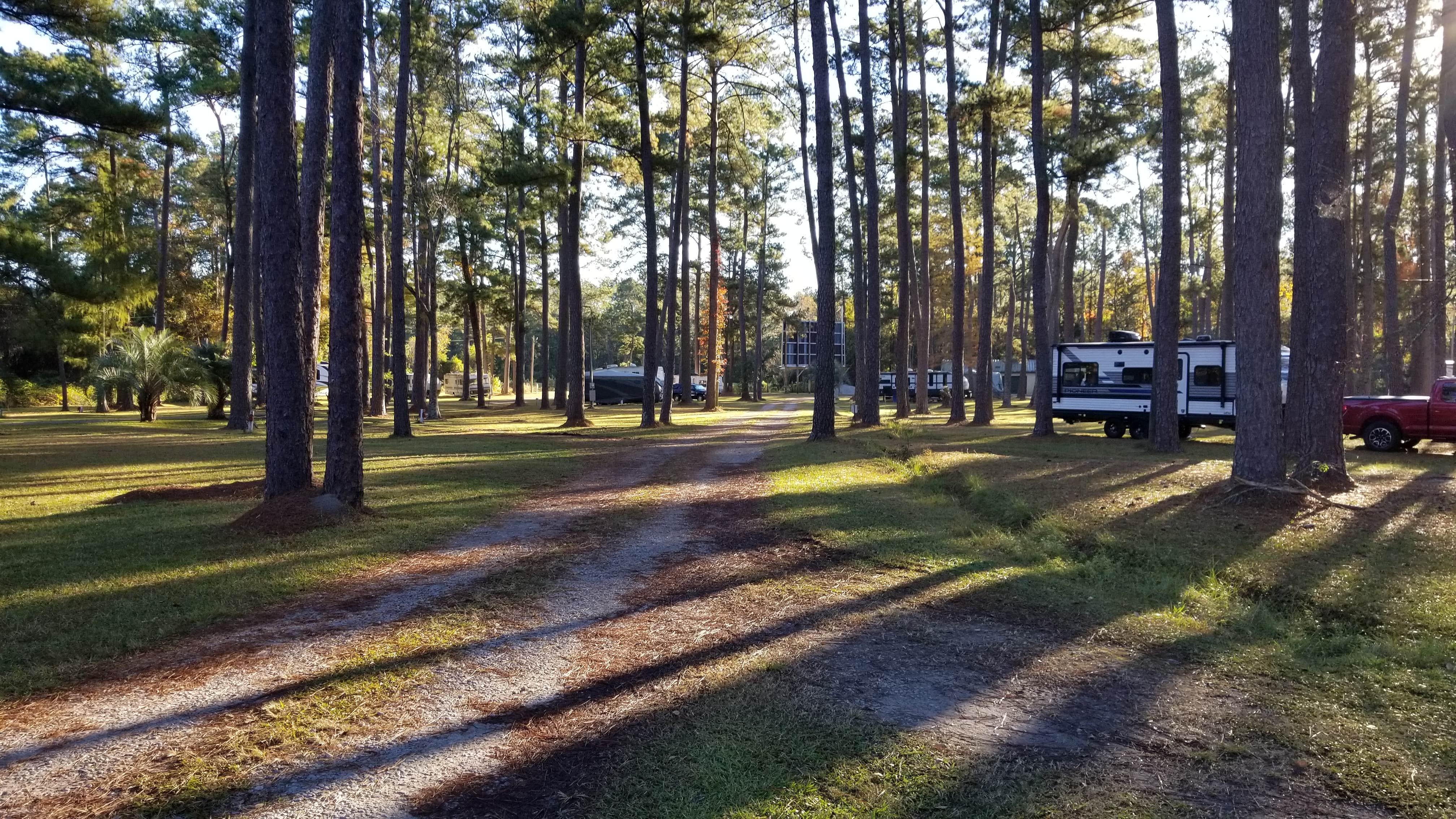 Camper-submitted photo at New Green Acres RV Park near Charleston, SC