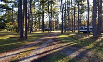 Camping near Thousand Trails The Oaks at Point South: New Green Acres RV Park, Walterboro, South Carolina