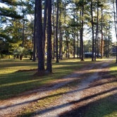 Review photo of New Green Acres RV Park by Mimi , November 17, 2021