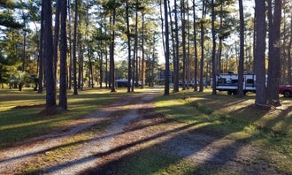 Camping near Givhans Ferry State Park: New Green Acres RV Park, Walterboro, South Carolina