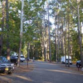 Review photo of Daingerfield State Park Campground by Napunani , November 17, 2021