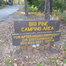 BIG PINE sign