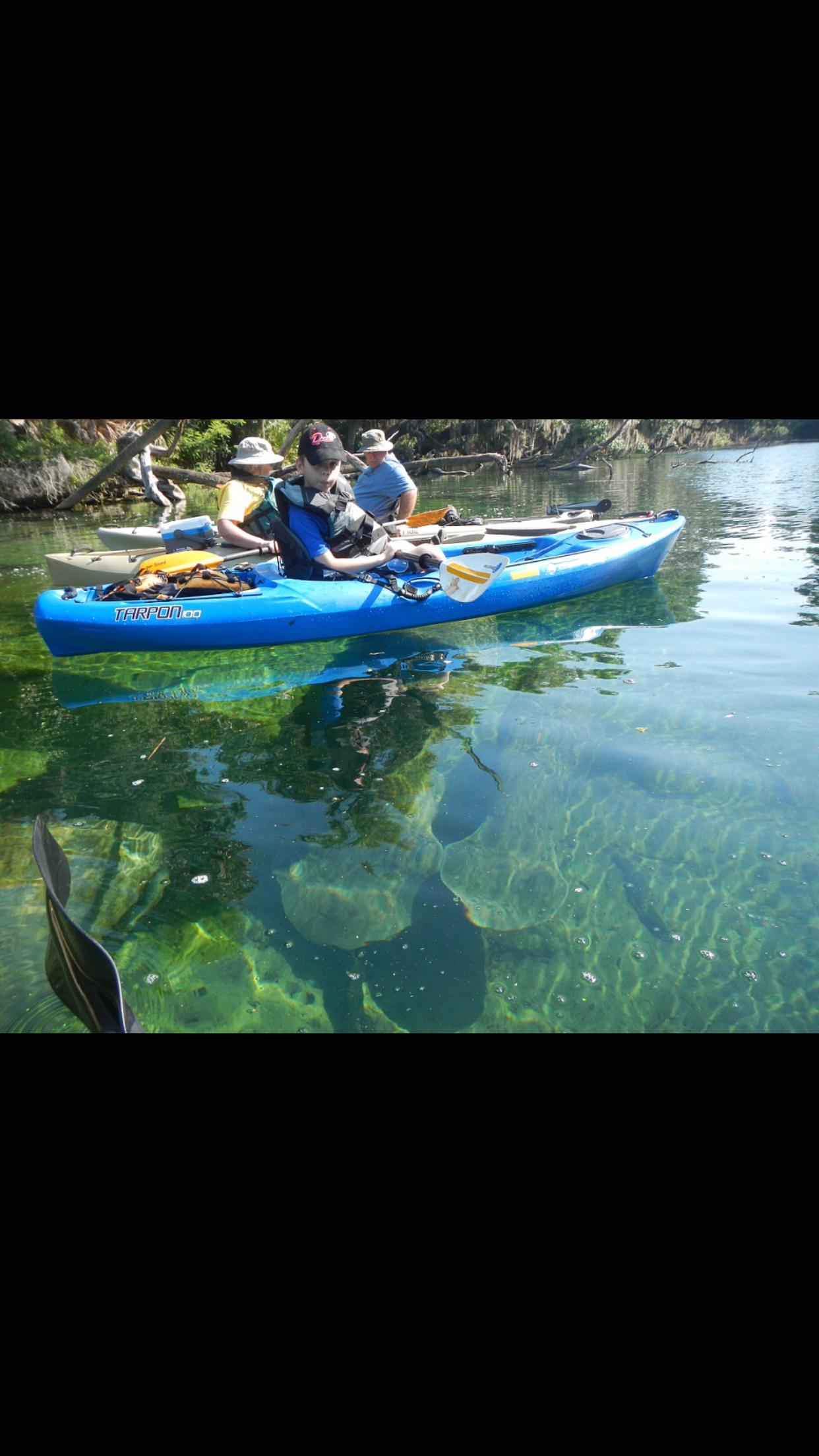 Camper submitted image from Crooked River State Park Campground - 3