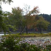 Review photo of Daingerfield State Park Campground by Napunani , November 17, 2021