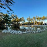 Review photo of OBX Campground by Nomad Nurse Z , November 17, 2021