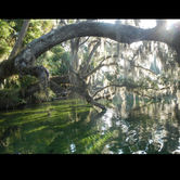 Review photo of Crooked River State Park Campground by Kayla B., July 7, 2018